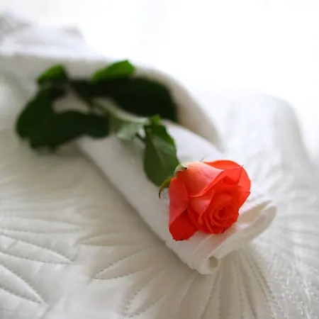 Bamboo Garden & Wellness * Веленце