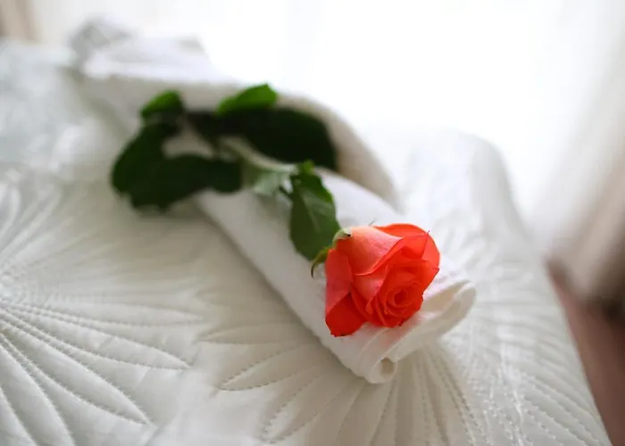 Bamboo Garden & Wellness * ולנצה