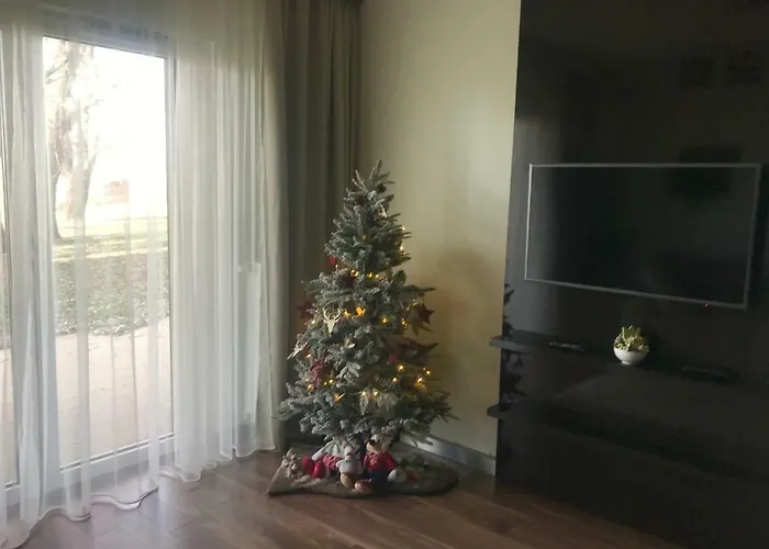 דירה Bamboo Garden & Wellness ולנצה